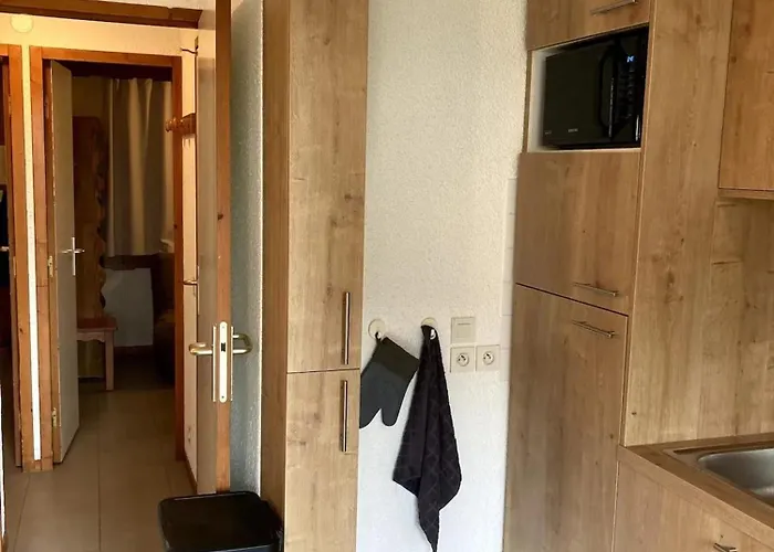 Fonctionnel A Les Deux Alpes, 29 M², 6 Pers. * Ле дез Альп